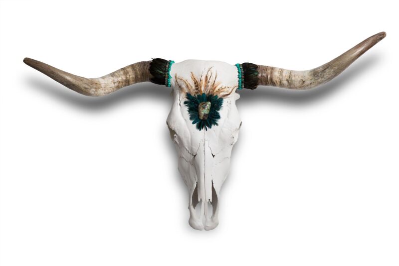 Africa.jpg Craneo de vaca decorado a mano África