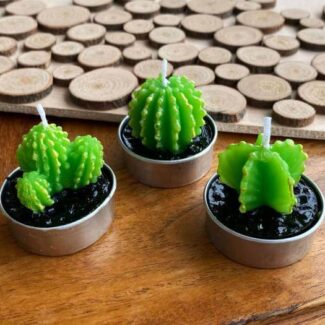 Pack de tres velas de cactus Arizona Green