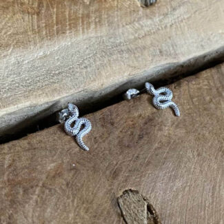 pendientes-serpiente-plata-pequeños